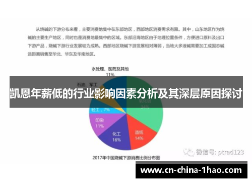 凯恩年薪低的行业影响因素分析及其深层原因探讨