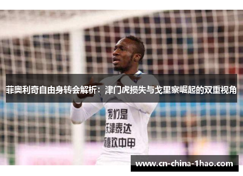 菲奥利奇自由身转会解析：津门虎损失与戈里察崛起的双重视角