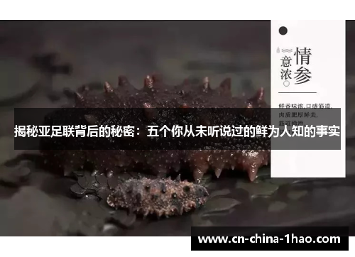 揭秘亚足联背后的秘密：五个你从未听说过的鲜为人知的事实