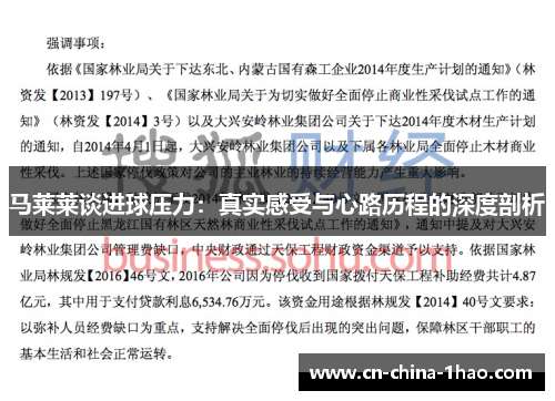 马莱莱谈进球压力:真实感受与心路历程的深度剖析 马莱莱谈进球压力:真实感受与心路历程的深度剖析